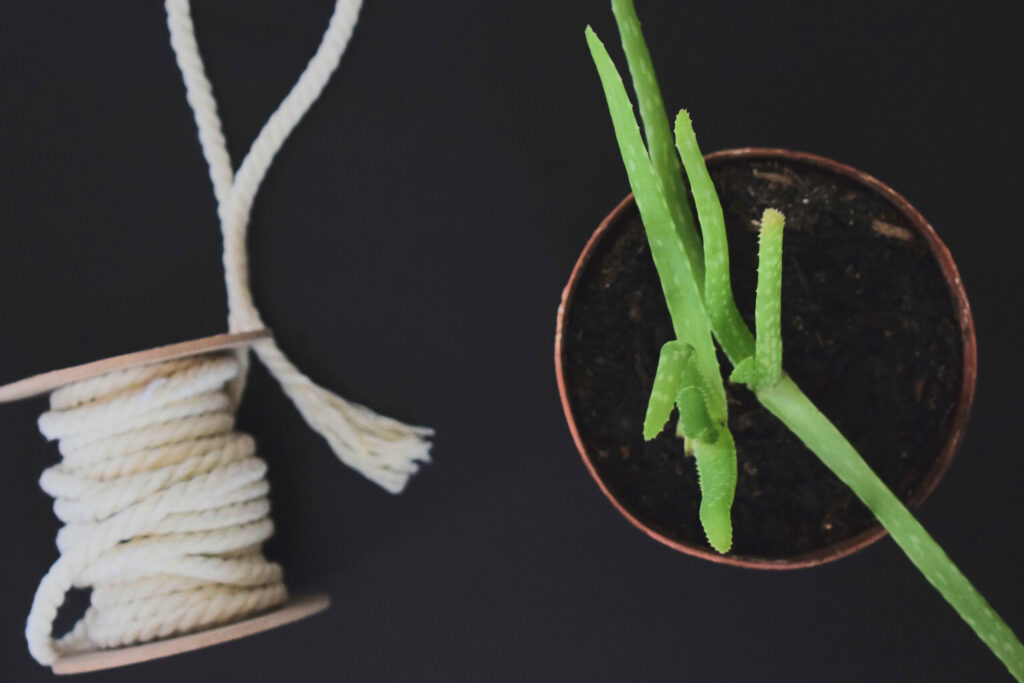 Stylischen Übertopf Boho-Style aus Garn und Packpapier im Nu basteln 2 Übertopf selber machen